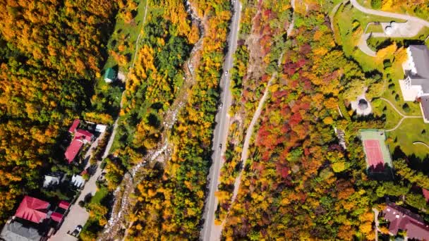 カザフスタンのアルマトイ市の秋に山の黄色い木の森の近くの輸送で川とレーダーの空中ドローンビューパノラマ — ストック動画