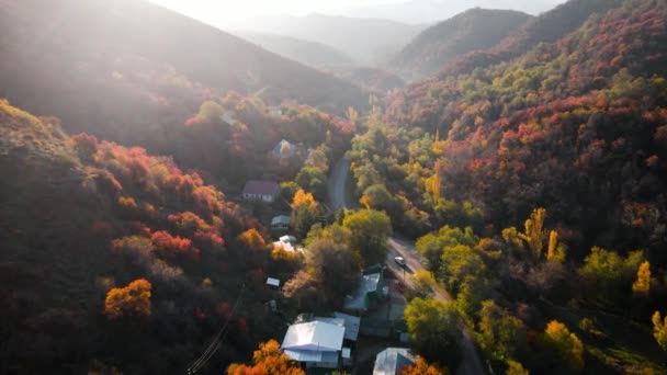 Воздушный Беспилотник Панорама Дороги Транспортом Возле Желтого Леса Деревьев Горах — стоковое видео