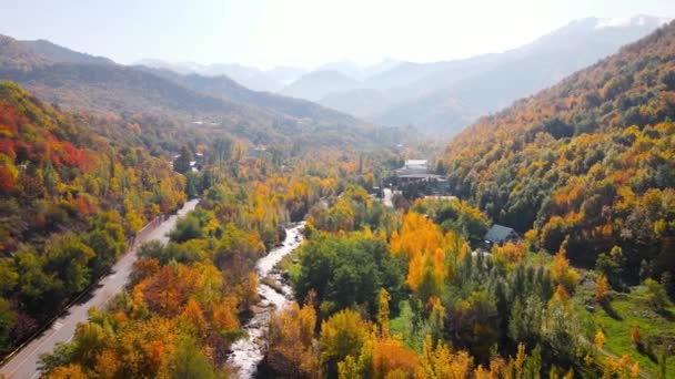 Aerial Drone View Panorama River Rad Transport Yellow Tree Forest — Αρχείο Βίντεο