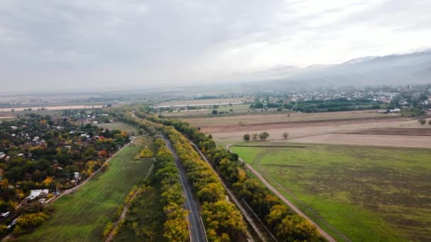Dron Powietrzny Widok Panorama Drogi Transportu Pobliżu Żółtego Lasu Drzewa — Wideo stockowe