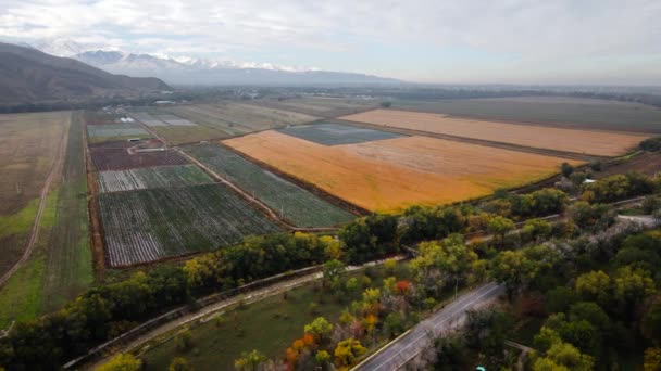 Luchtfoto Drone Uitzicht Panorama Van Het Veld Buurt Van Weg — Stockvideo