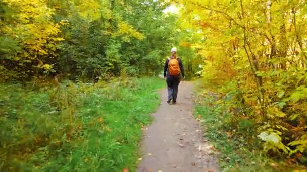 Turista Mujer Con Mochila Amarilla Caminando Camino Las Hojas Amarillas — Vídeos de Stock