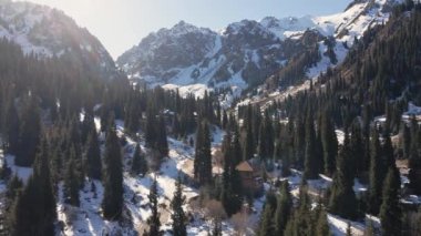 Dağların hava aracı manzarası, bakir beyaz kar ve çam ağacı ormanlarıyla kaplı. Kazakistan 'ın Almaty şehrindeki Tien Shan Dağı