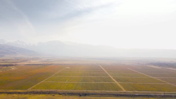 Aerial Drone View Panorama Yellow Field Road Mountains Top Φθινόπωρο — Αρχείο Βίντεο