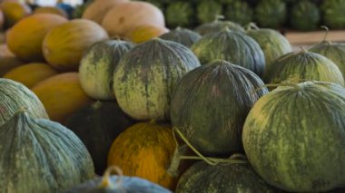 Özbekistan 'ın Buhara kentindeki pazarda olgun sarı Özbek kavunu yığınları