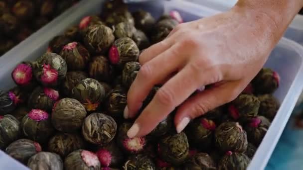Kobieta Ręka Test Kulki Zielonej Kwiatowej Herbaty Ziołowej Bukhara Central — Wideo stockowe