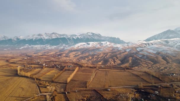 Luftaufnahme Des Dorfes Tamga Und Des Landwirtschaftlichen Feldes Mit Schneebergen — Stockvideo