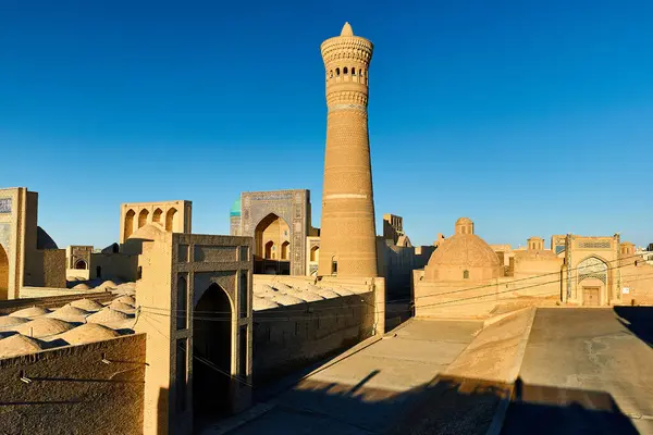 Vue Place Culture Kalyan Minaret Madrasah Coucher Soleil Boukhara Ouzbékistan — Photo