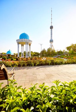 Taşkent Televizyon Kulesi Toshkent Teleminorasi ve Özbekistan 'da gün batımında parktaki yuvarlak çatılı anıt sütunu