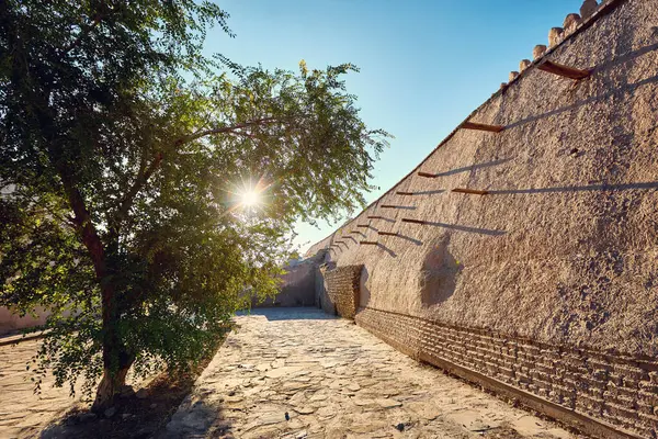 Salida Del Sol Través Árbol Grande Una Antigua Fortaleza Muralla — Foto de Stock