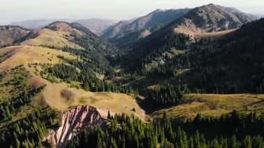 Kazakistan 'da Almaty yakınlarında yeşil orman ve dağların insansız hava aracı görüntüleri.