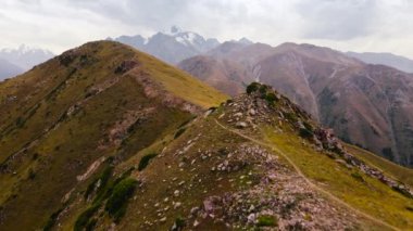 Kazakistan 'da Almaty yakınlarında yeşil orman ve dağların insansız hava aracı görüntüleri.