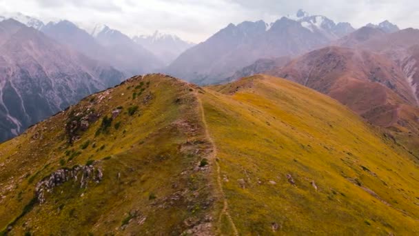 Aerial Drone Shot Zielonych Lasów Gór Grzbiet Pobliżu Ałmaty Kazachstanie — Wideo stockowe