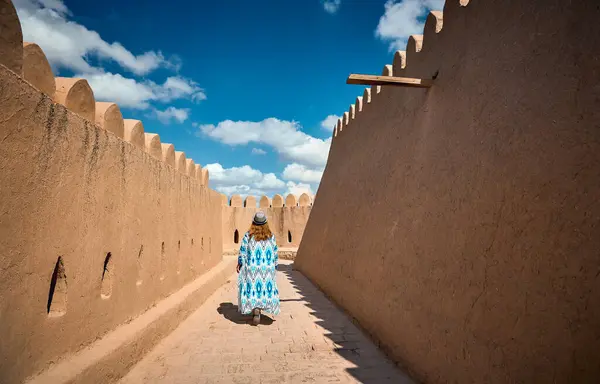 Jeune Femme Robe Ethnique Avec Ornement Bleu Marchant Sur Mur Image En Vente
