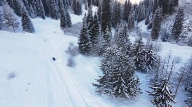 Dağlarda yürüyüş yapan insanların havadan insansız hava aracı görüntüsü. Bakir beyaz kar ve çam ağaçları ormanıyla kaplı. Kazakistan 'ın Almaty şehrindeki Tien Shan Dağı