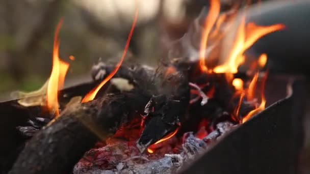 Lassú Mozgás Vörös Lángok Füst Hamu Tábortűz Kertben Naplementekor — Stock videók