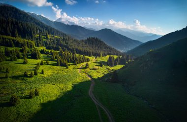 Dağ karlı zirvesinin güzel hava aracı manzarası ve Almaty, Kazakistan 'daki mavi bulutlu gökyüzünde yeşil ladin ormanı manzarası.