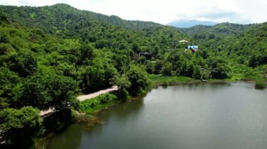 Sarı ceketli bisikletçi güneşli bir günde küçük göl kenarında kırsal yolda at sürüyor. Bisiklet turizmi kavramı.