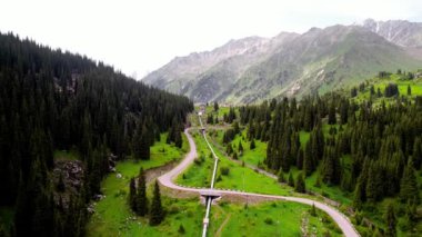 Büyük Almaty Gölü 'ne giden dağ yolunun güzel hava aracı manzarası ve Kazakistan' daki yeşil ladin ormanı manzarası.