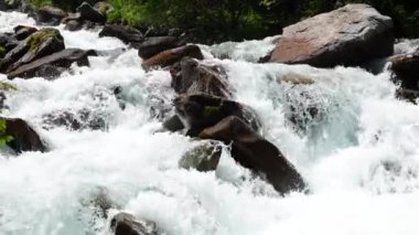 Güzel manzara, beyaz su dağı nehri yavaş çekimde akar. Orta Asya, Kazakistan 'daki büyük taşlar ve ladin ormanları boyunca akar.
