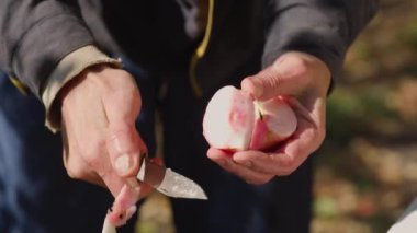 Adam, bahçesinde taze meyve suyu yapmak için elmaları bıçakla kesiyor. Doğal elma suyu yapmak için yakın çekim..