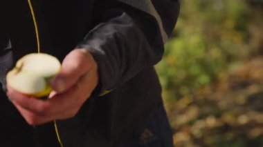 Adam, bahçesinde taze meyve suyu yapmak için elmaları bıçakla kesiyor. Doğal elma suyu yapmak için yakın çekim..