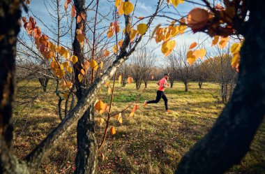 Kırmızı tişörtlü atletik sakallı adam gün doğumunda güz ağacı ormanında patikada koşuyor.