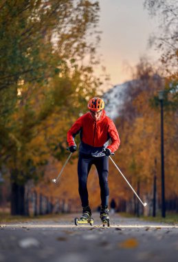 Man athlete training on the roller skaters with poles in helmet and red jacket. Concept of Simulates Nordic skiing for ski mountain discipline clipart