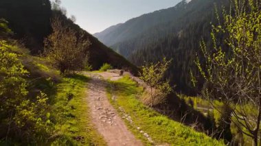 Dağlardaki patika manzarasının ve Kazakistan, Almaty 'deki yeşil tepelerin güzel hava aracı.