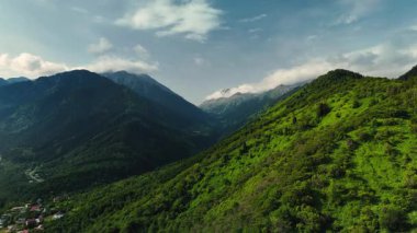 Dağların yeşil tepelerinin güzel insansız hava aracı manzarası. Ladin ormanı ve kar Almaty, Kazakistan 'da zirveye çıkıyor.