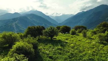 Dağların yeşil tepelerinin güzel insansız hava aracı manzarası. Ladin ormanı ve kar Almaty, Kazakistan 'da zirveye çıkıyor.