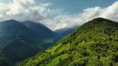 Dağların yeşil tepelerinin güzel insansız hava aracı manzarası. Ladin ormanı ve kar Almaty, Kazakistan 'da zirveye çıkıyor.
