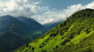 Dağların yeşil tepelerinin güzel insansız hava aracı manzarası. Ladin ormanı ve kar Almaty, Kazakistan 'da zirveye çıkıyor.