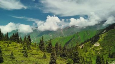 Dağların yeşil tepelerinin güzel insansız hava aracı manzarası. Ladin ormanı ve kar Almaty, Kazakistan 'da zirveye çıkıyor.