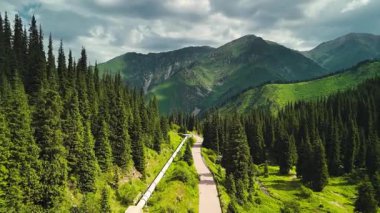 Yeşil tepelerin güzel hava aracı manzarası ve dağların yolu ladin ormanı ve karla kaplı Almaty, Kazakistan 'da manzara yükseliyor.