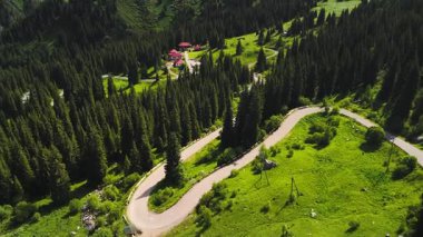 Yeşil tepelerin güzel hava aracı manzarası ve dağların yolu ladin ormanı ve karla kaplı Almaty, Kazakistan 'da manzara yükseliyor.