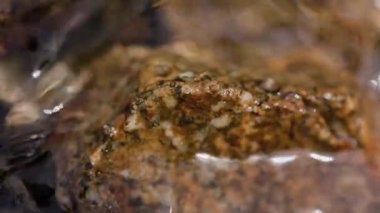 Güzel manzara dağ nehri ve taşlar. Orta Asya 'daki Tien Shan geçidinde su yavaş çekimde akıyor.