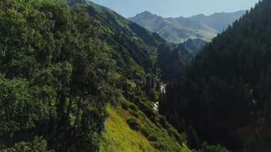 Dağlardaki nehrin güzel hava aracı manzarası ve Almaty, Kazakistan 'daki yeşil ladin orman manzarası.
