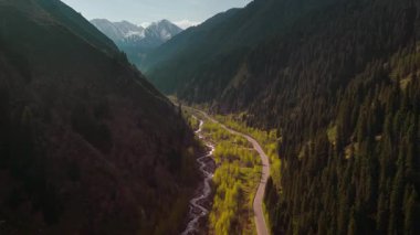 Dağlardaki nehrin güzel hava aracı manzarası ve Almaty, Kazakistan 'daki yeşil ladin orman manzarası.