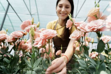 Smiling, happy woman picking flowers. Relaxing therapy