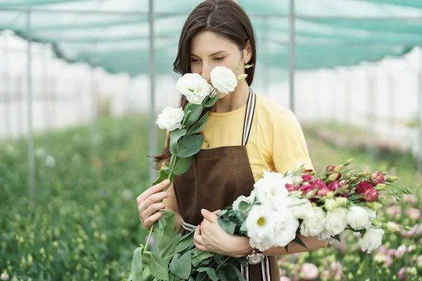 Woman florist has an order for fresh flowers. She makes a beautiful bouquet in the green house.