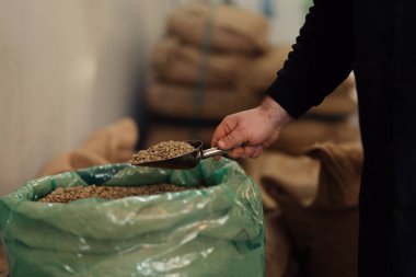 Anonim bir erkek işçi plastik torbadan çiğ kahve taneleri alıyor bulanık arka planda.