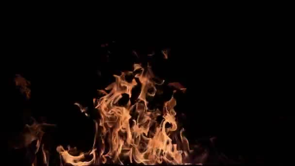 黒の背景に近い炎 — ストック動画