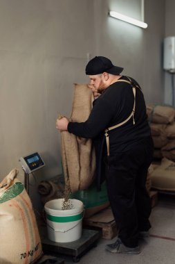 Siyah elbiseli ve kahve çekirdeklerini fabrikada çalışırken beyaz sepete dolduran erkek işçinin yan görüntüsü.