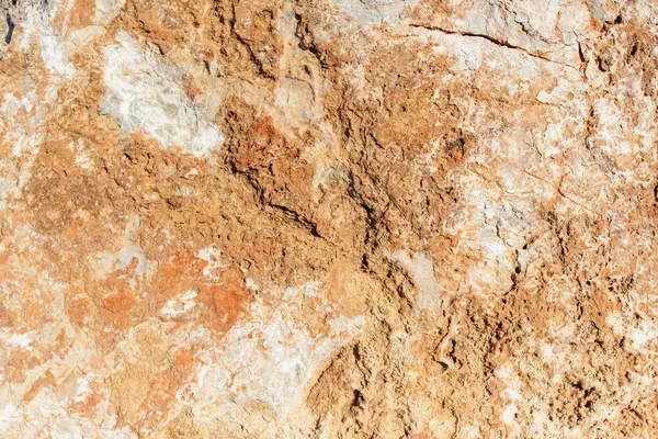 Karmaşık desenleri ve doğal taş dokusunun zengin renklerini gösteren yüksek kaliteli görüntü.