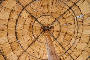 Tahta bir gölgeliğin sarmal desenine bakarak doğal materyalleri ve simetrik tasarımı sergiliyorum.