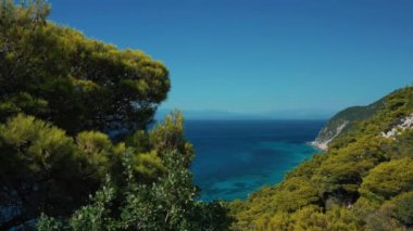 Bereketli bir kıyı manzarası, berrak gökyüzü ve yoğun yeşil yaprakları ile canlı mavi bir deniz manzarası..