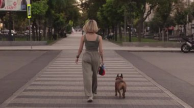 Genç bir kadın şehirde yaya geçidinde Fransız Bulldog 'unu tasmayla gezdiriyor. Parka doğru gidiyorlar..