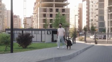 Bernese Dağ Köpeği 'ni kaldırımda gezdiren bir adam. Kameradan uzaklaşıyorlar. Köpek mutlu ve adam gülümsüyor..
