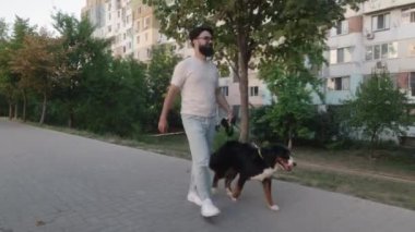 Mutlu bir genç adam Bernese Dağ Köpeği 'ni şehir parkında asfalt bir yolda yürütür. Köpek onun yanında mutlu yürür..